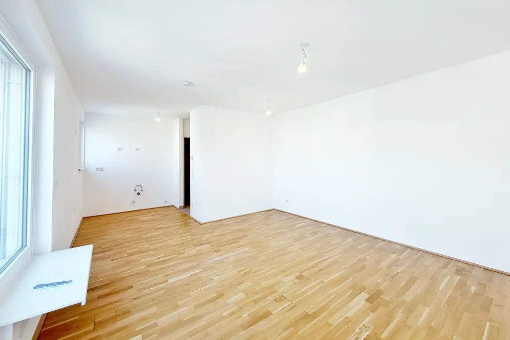 Ein Blick über die Dächer von Wien. 2 Zimmerwohnung mit Terrasse